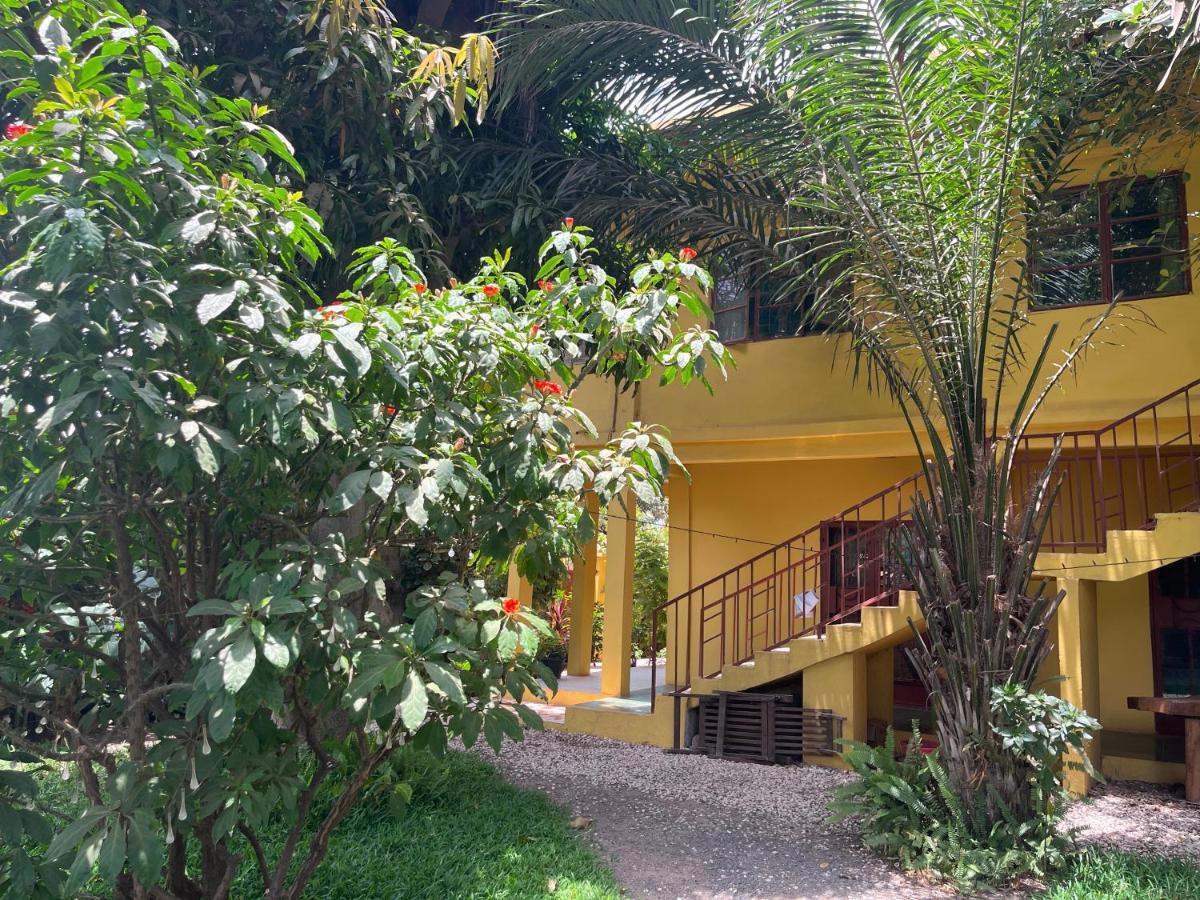 Boli Boli Guesthouse 세레쿤다 외부 사진